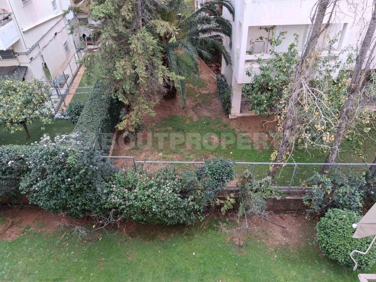 Gallery image 13