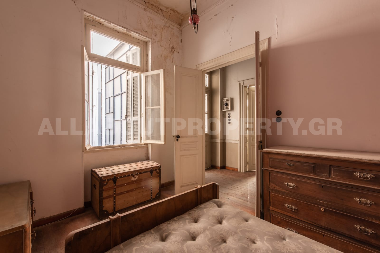 Gallery image 7