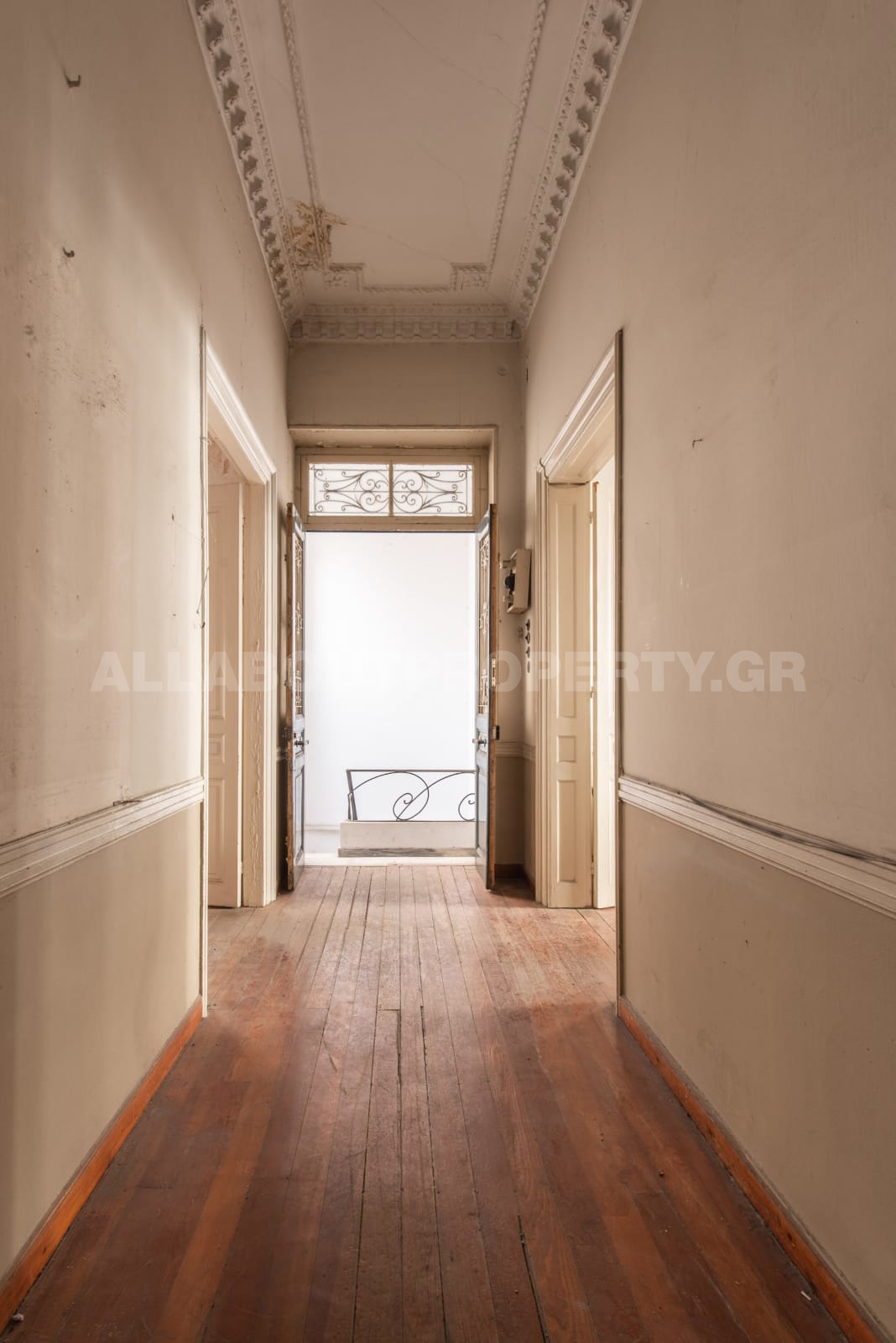 Gallery image 13