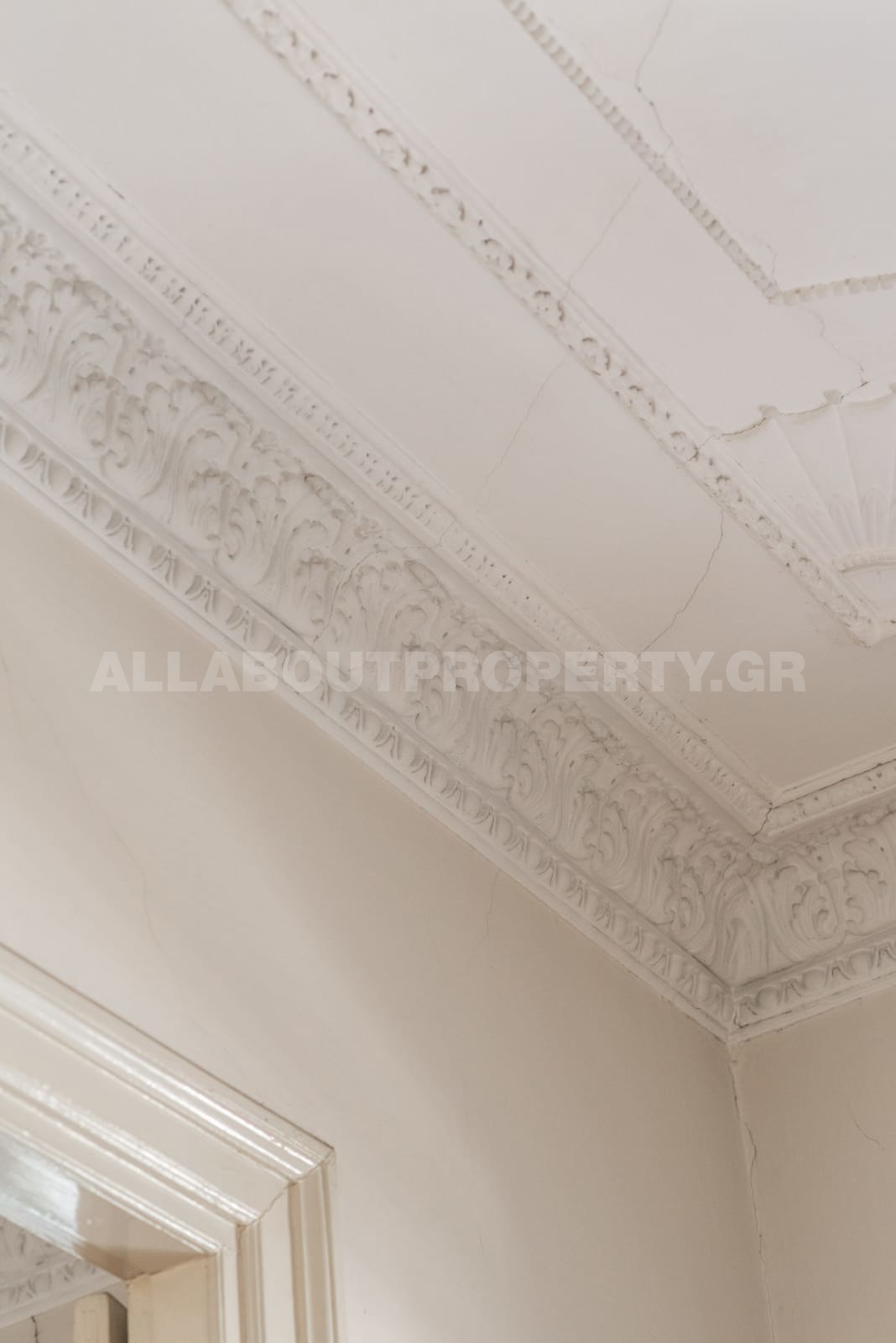 Gallery image 14