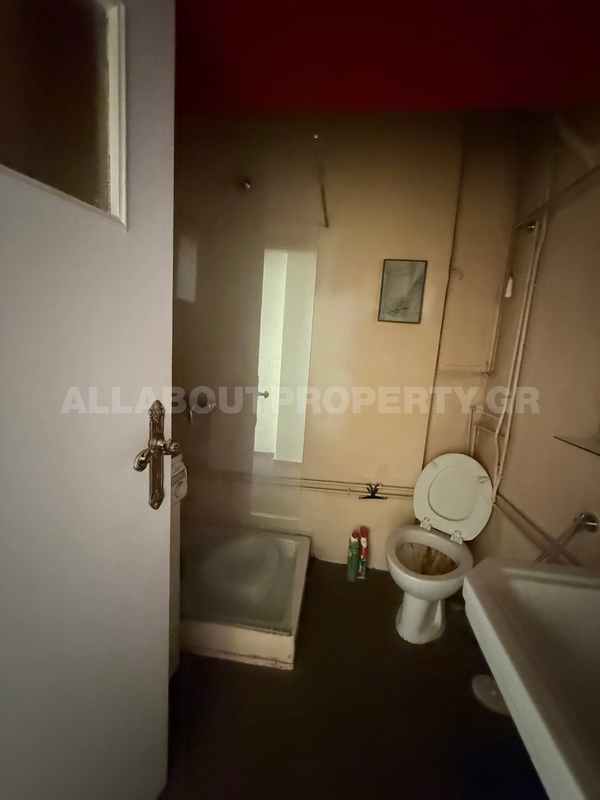 Gallery image 12