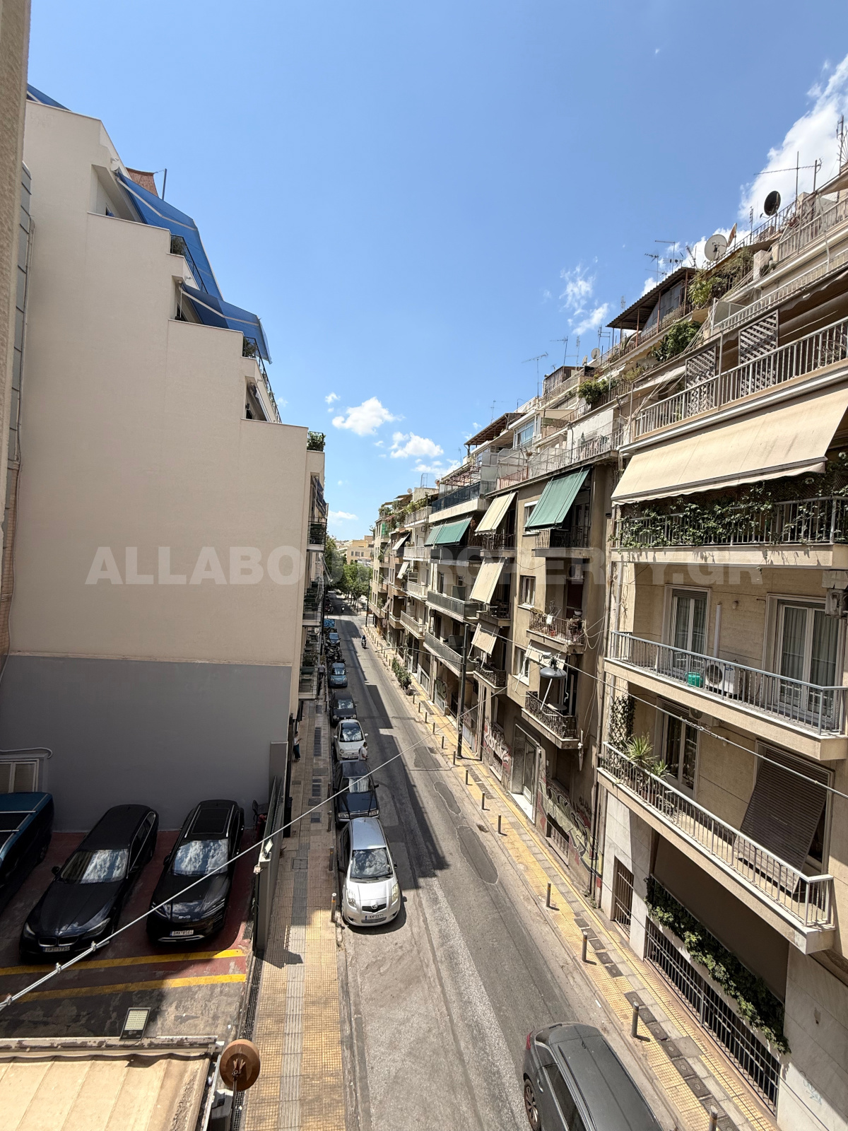 Gallery image 15