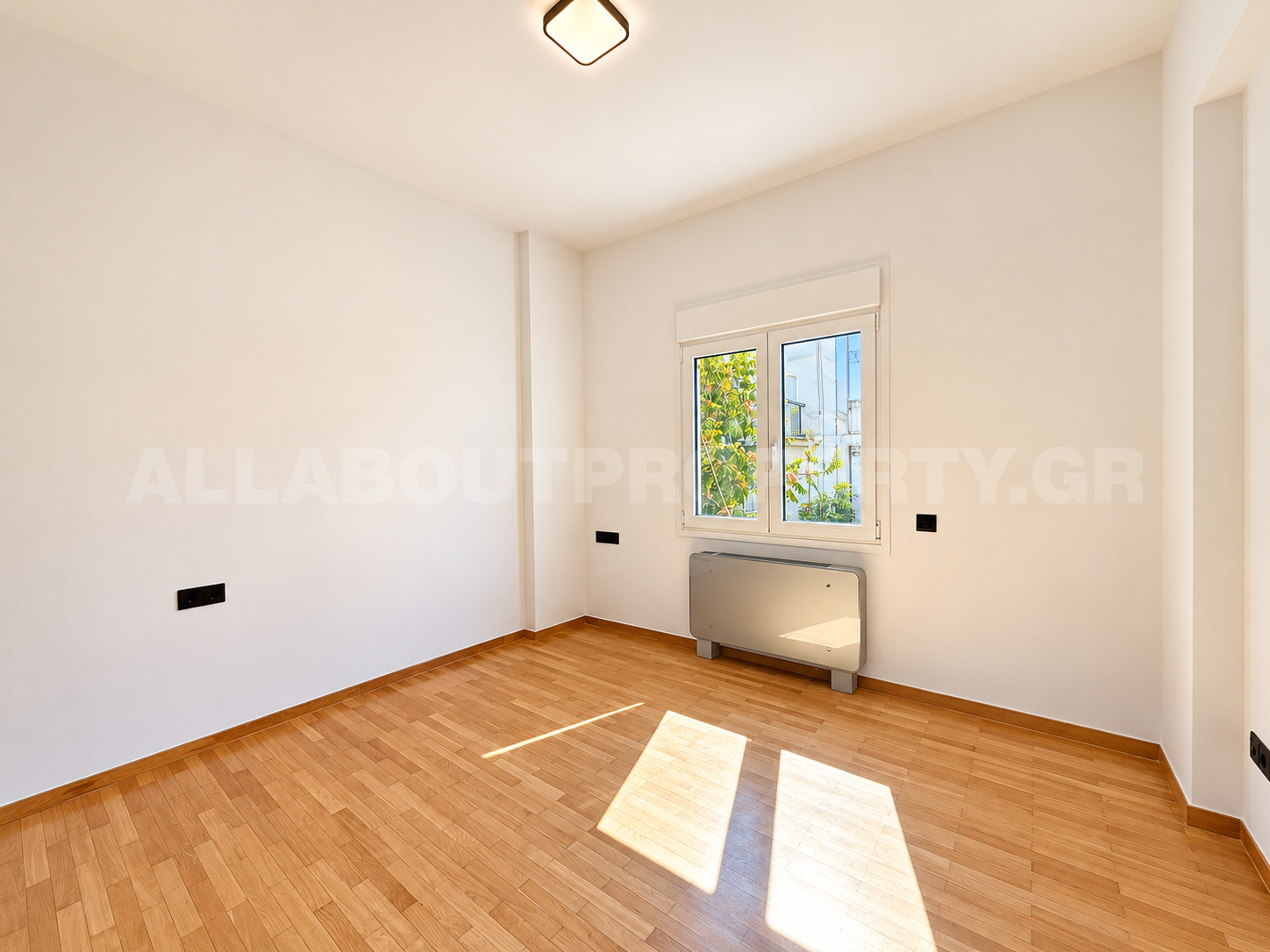 Gallery image 8