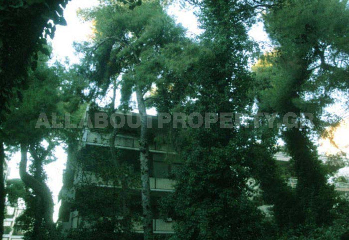 Gallery image 8