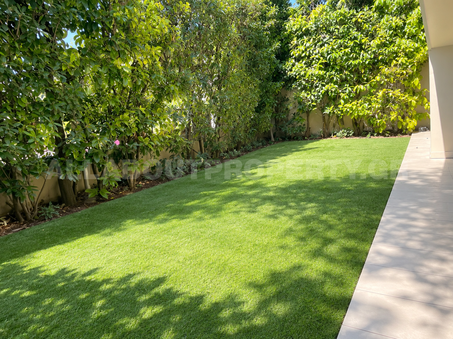 Gallery image 14