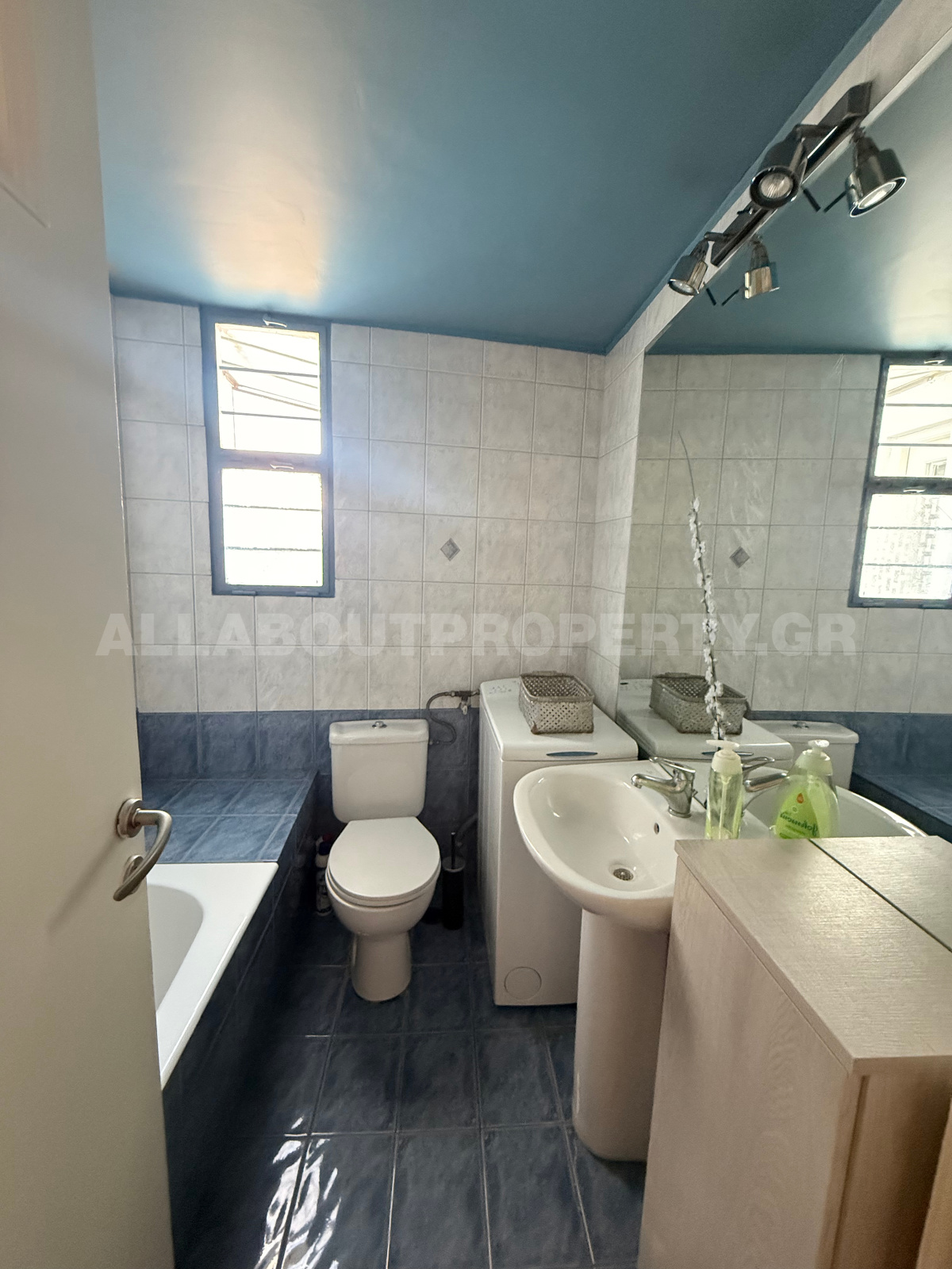 Gallery image 13