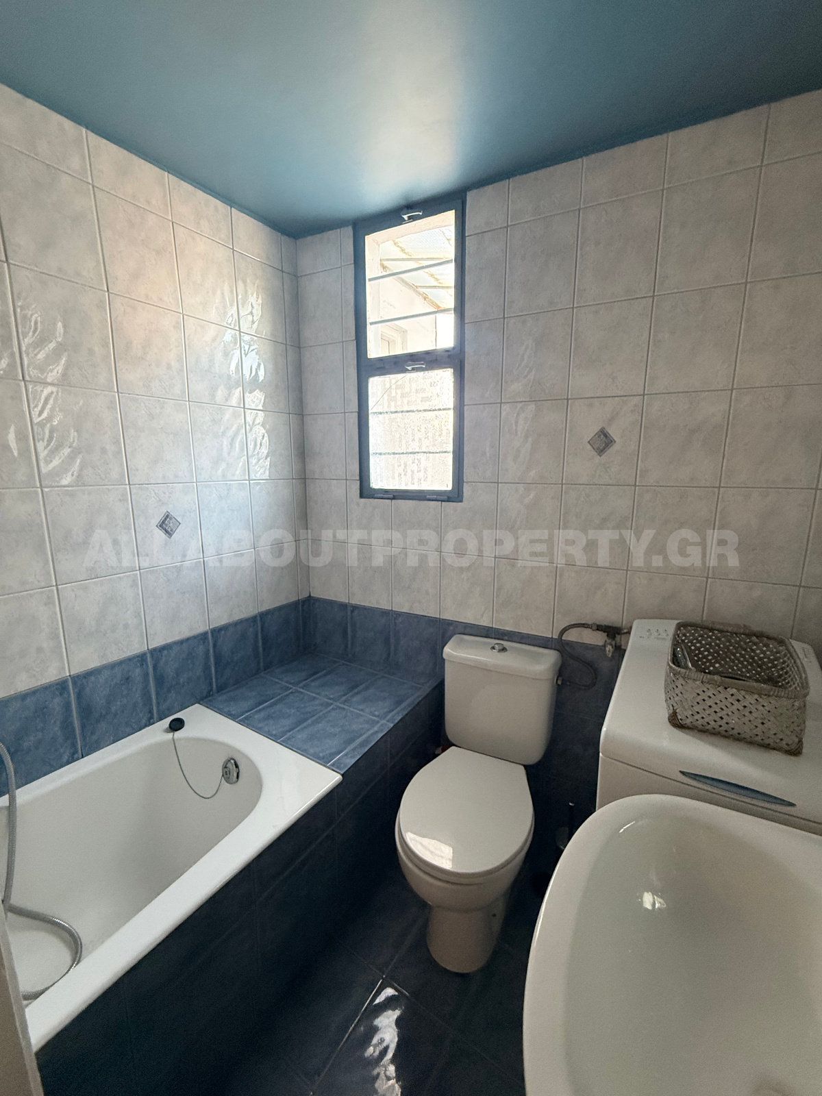 Gallery image 14