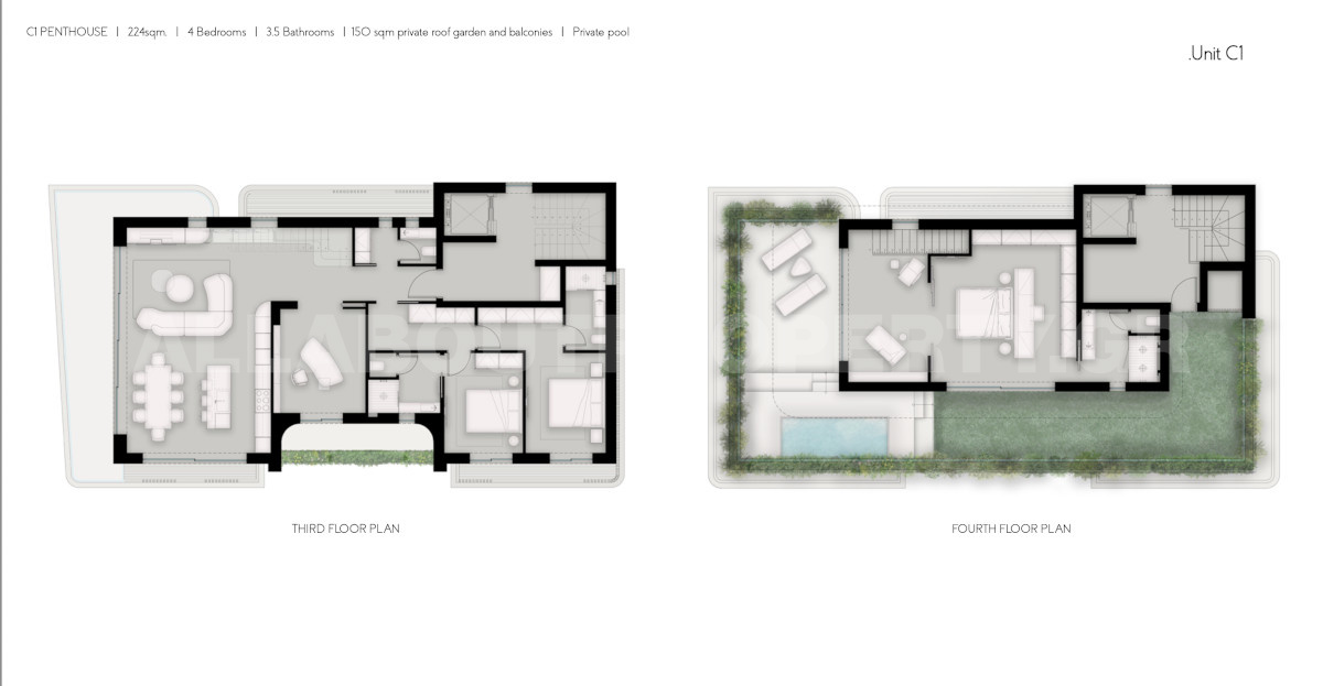 Gallery image 6