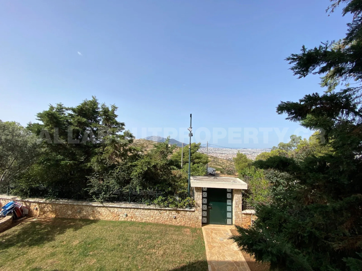 Gallery image 13