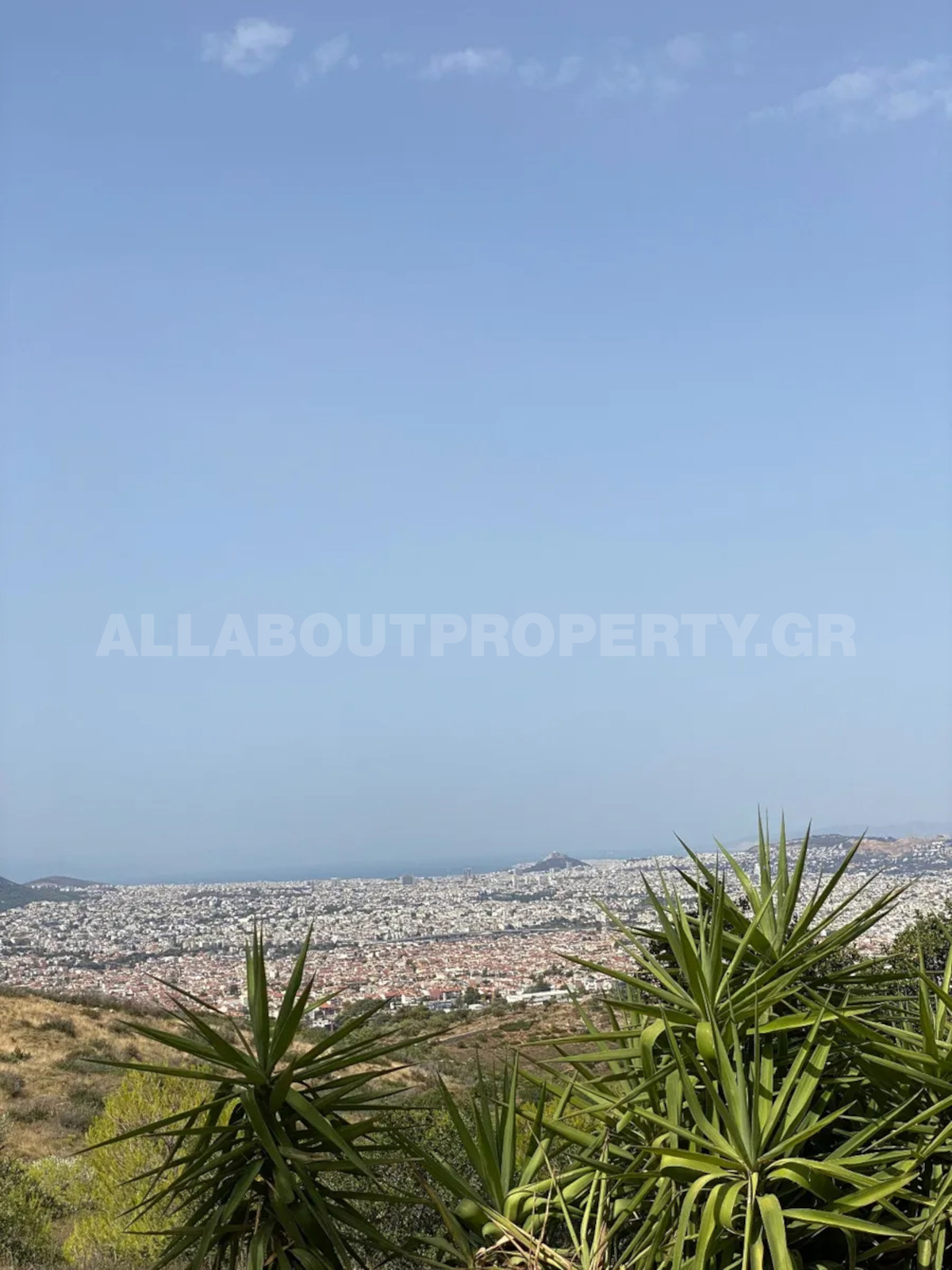 Gallery image 15