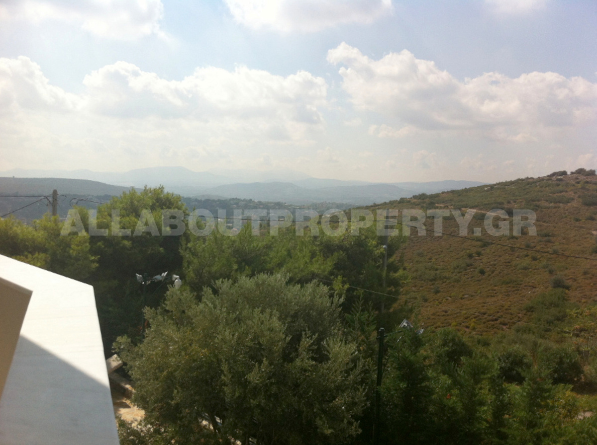Gallery image 16