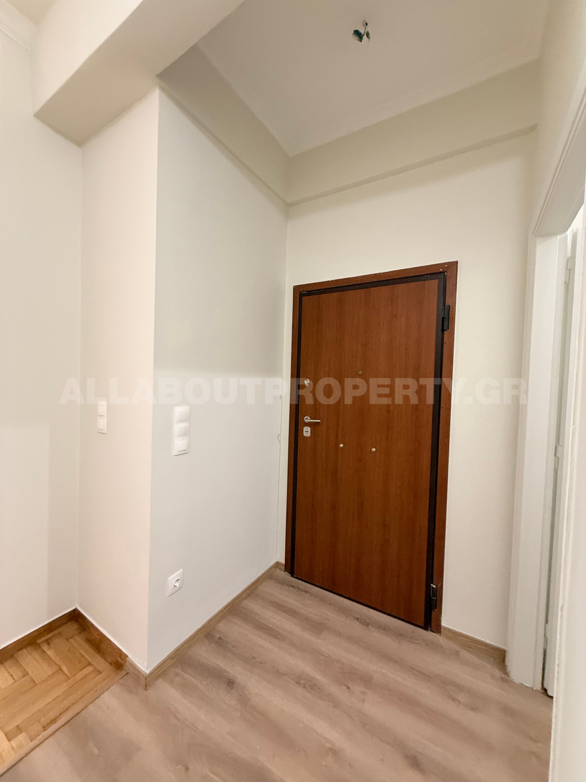 Gallery image 8