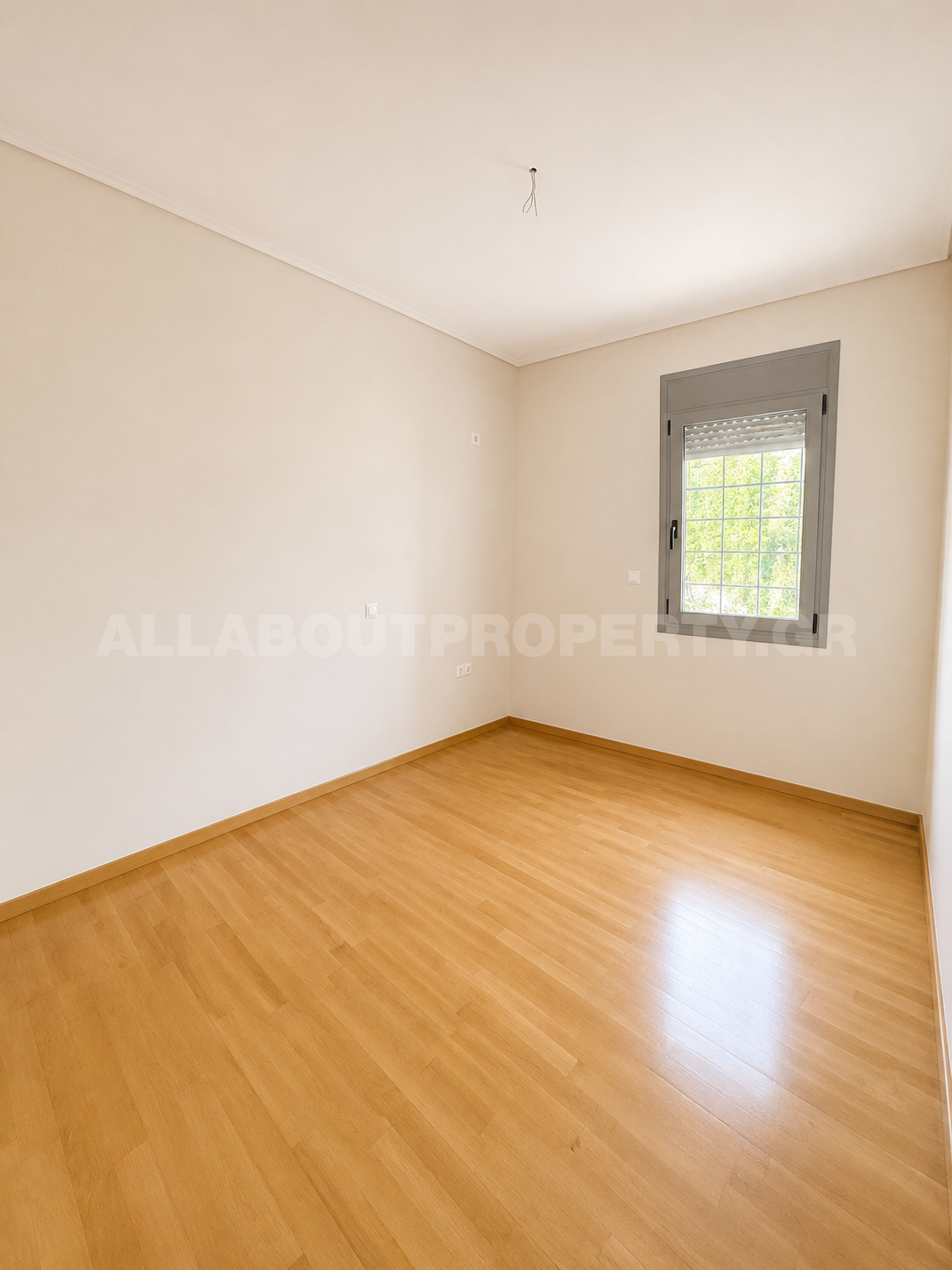 Gallery image 11