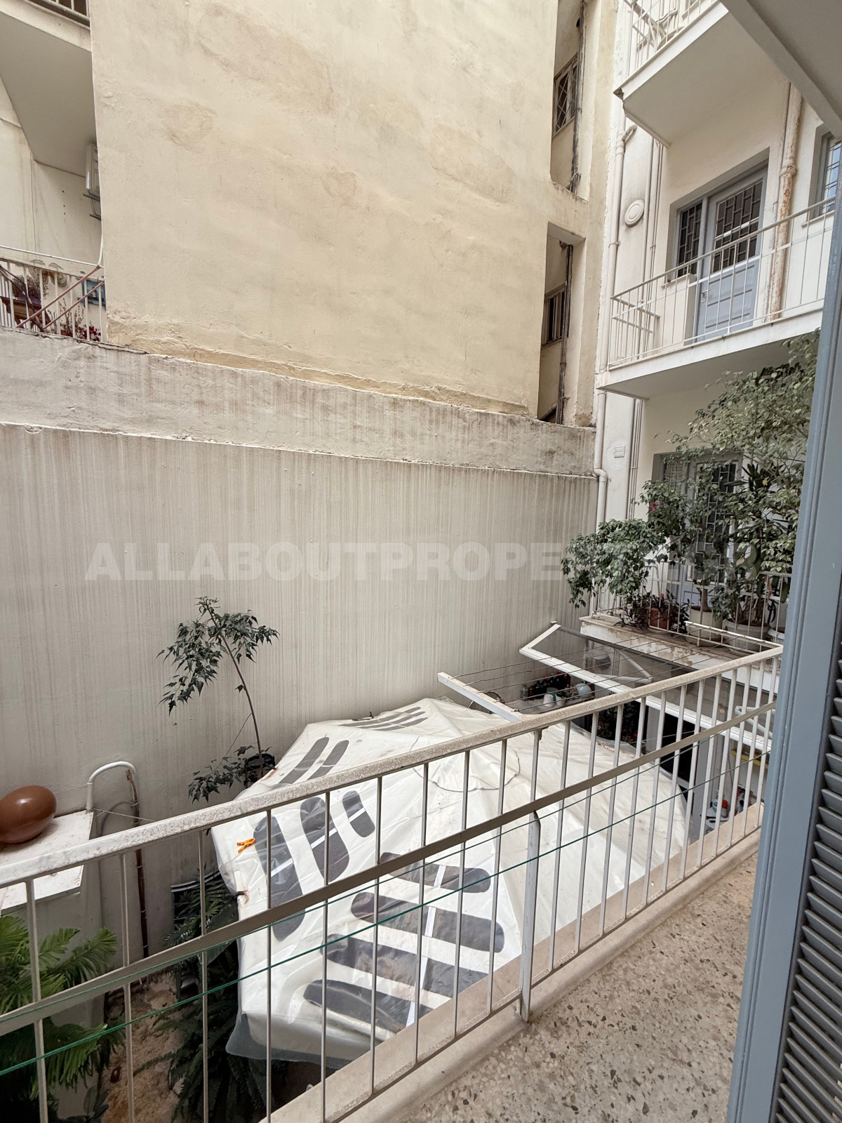 Gallery image 10