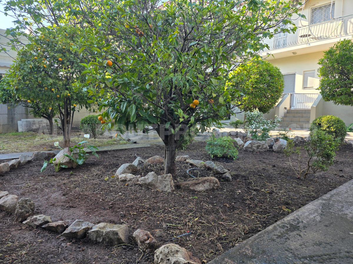 Gallery image 20