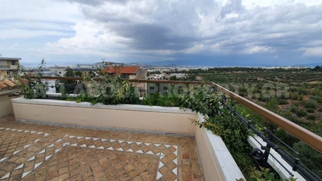 Gallery image 13