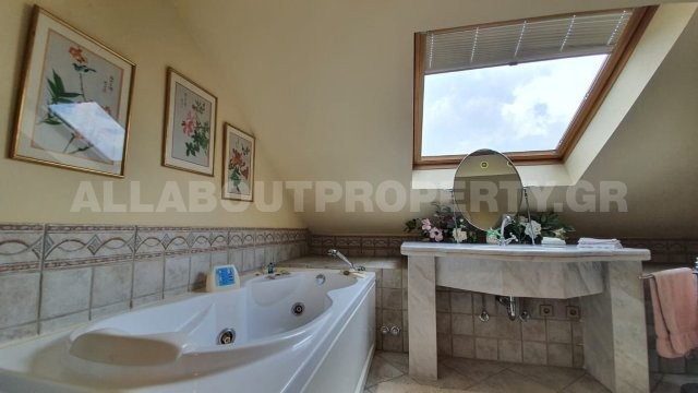 Gallery image 10