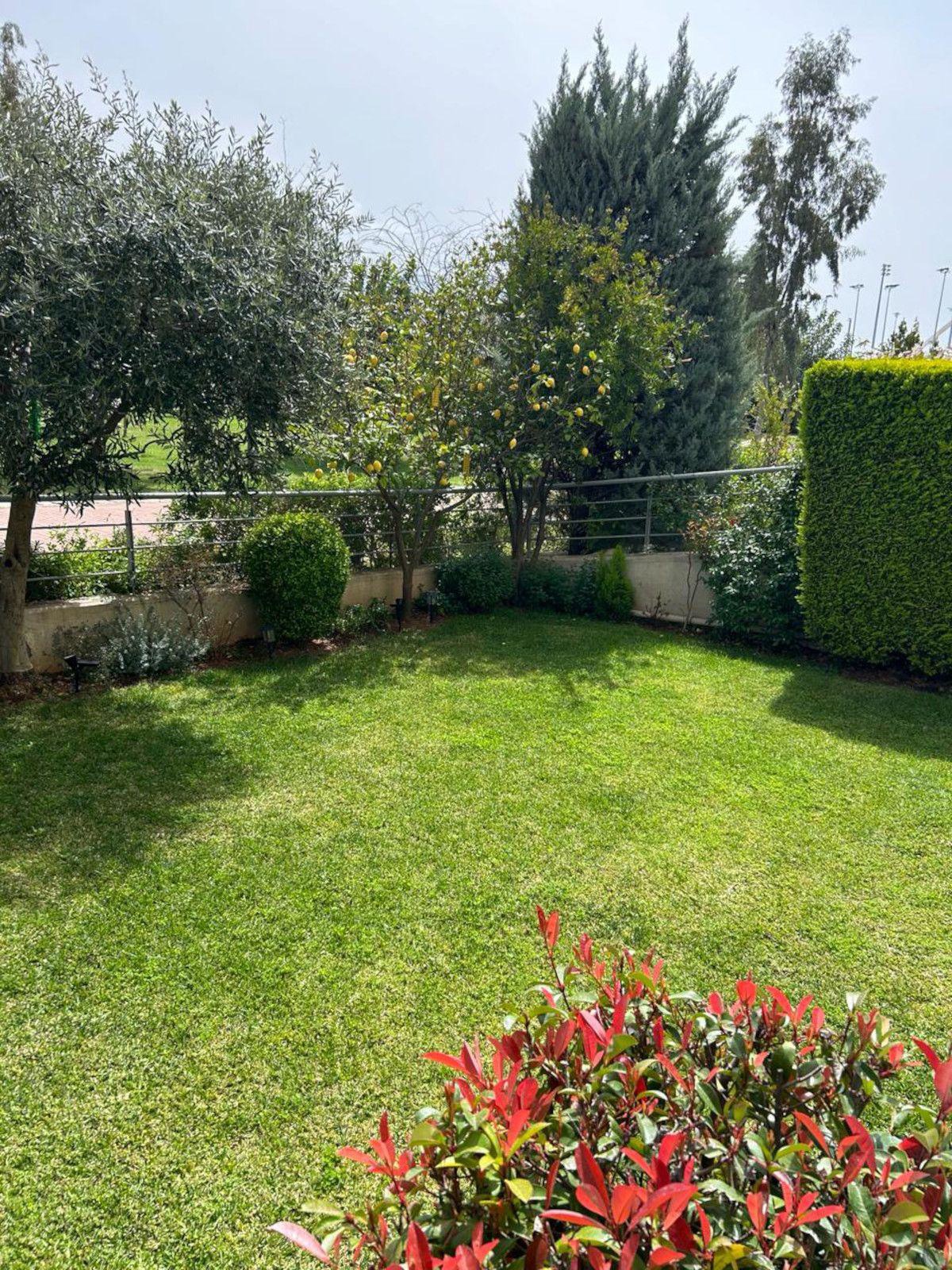 Gallery image 24