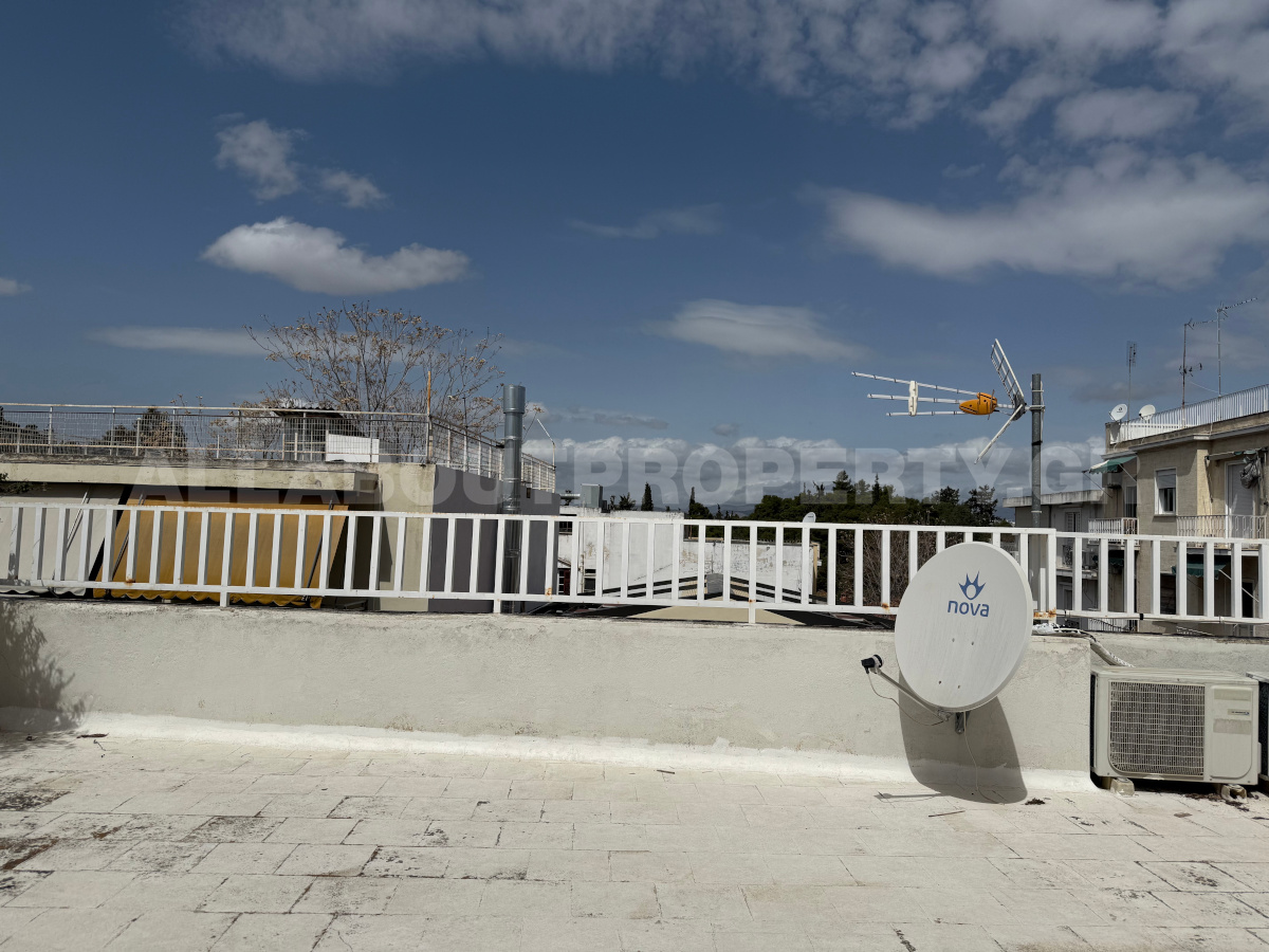 Gallery image 13