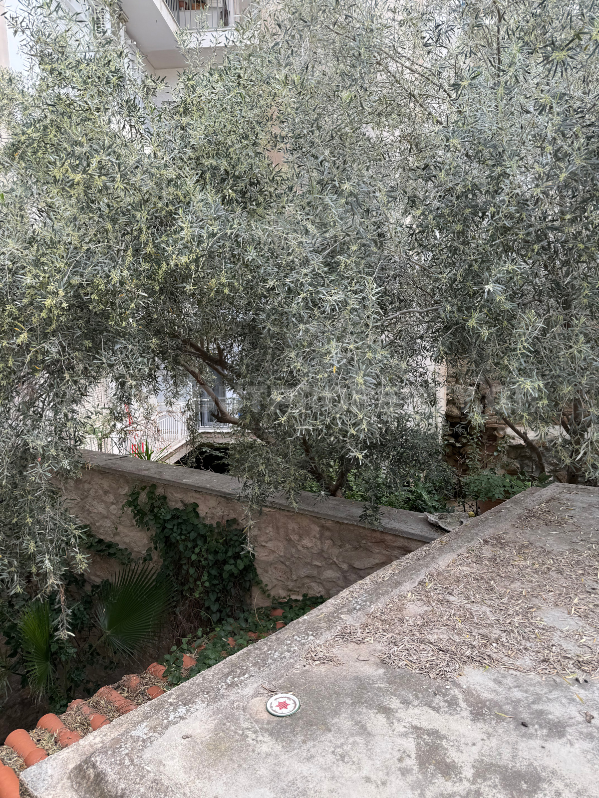 Gallery image 14