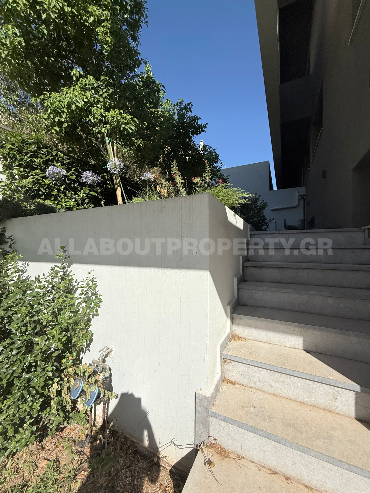 Gallery image 13