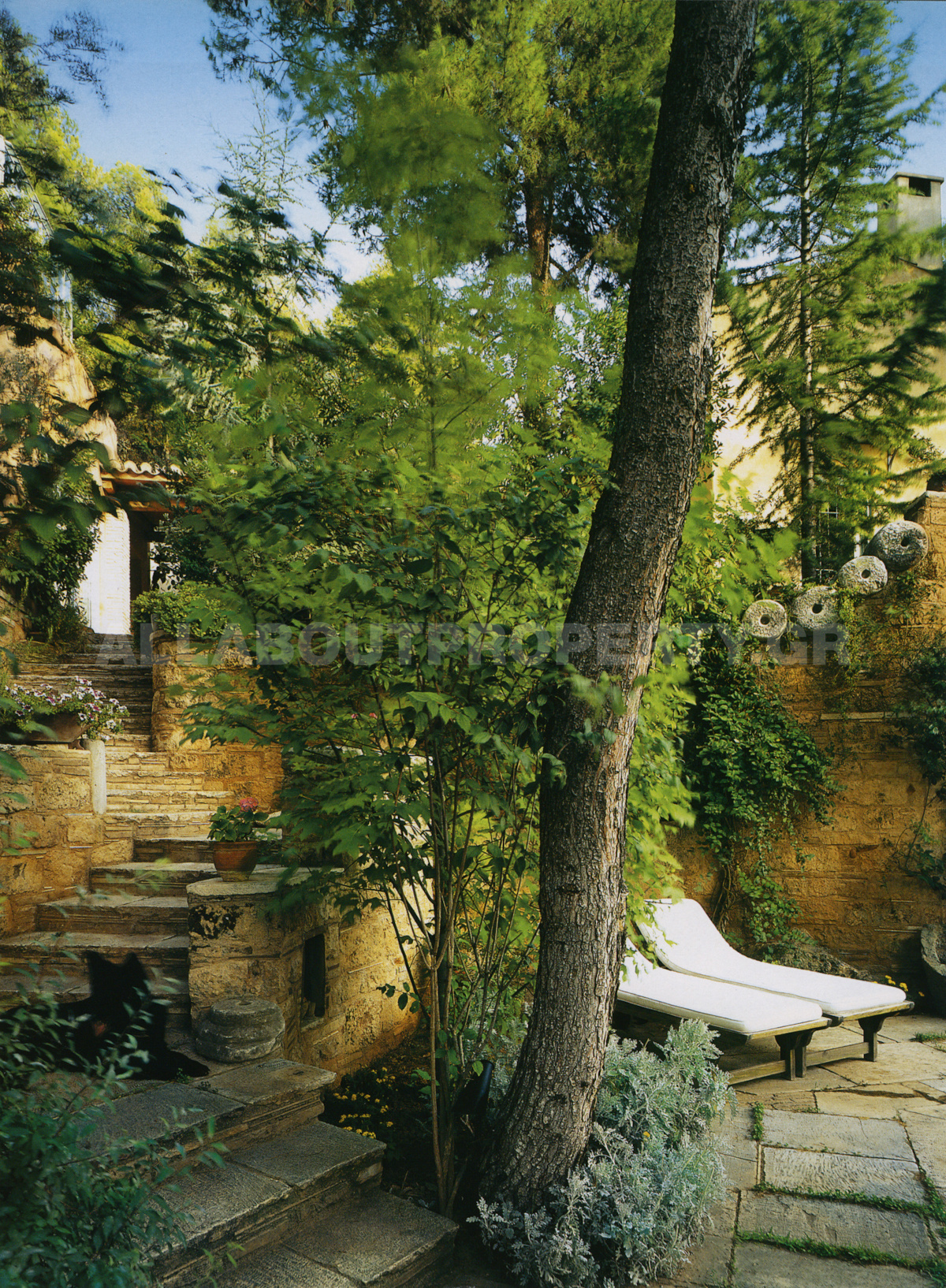 Gallery image 29