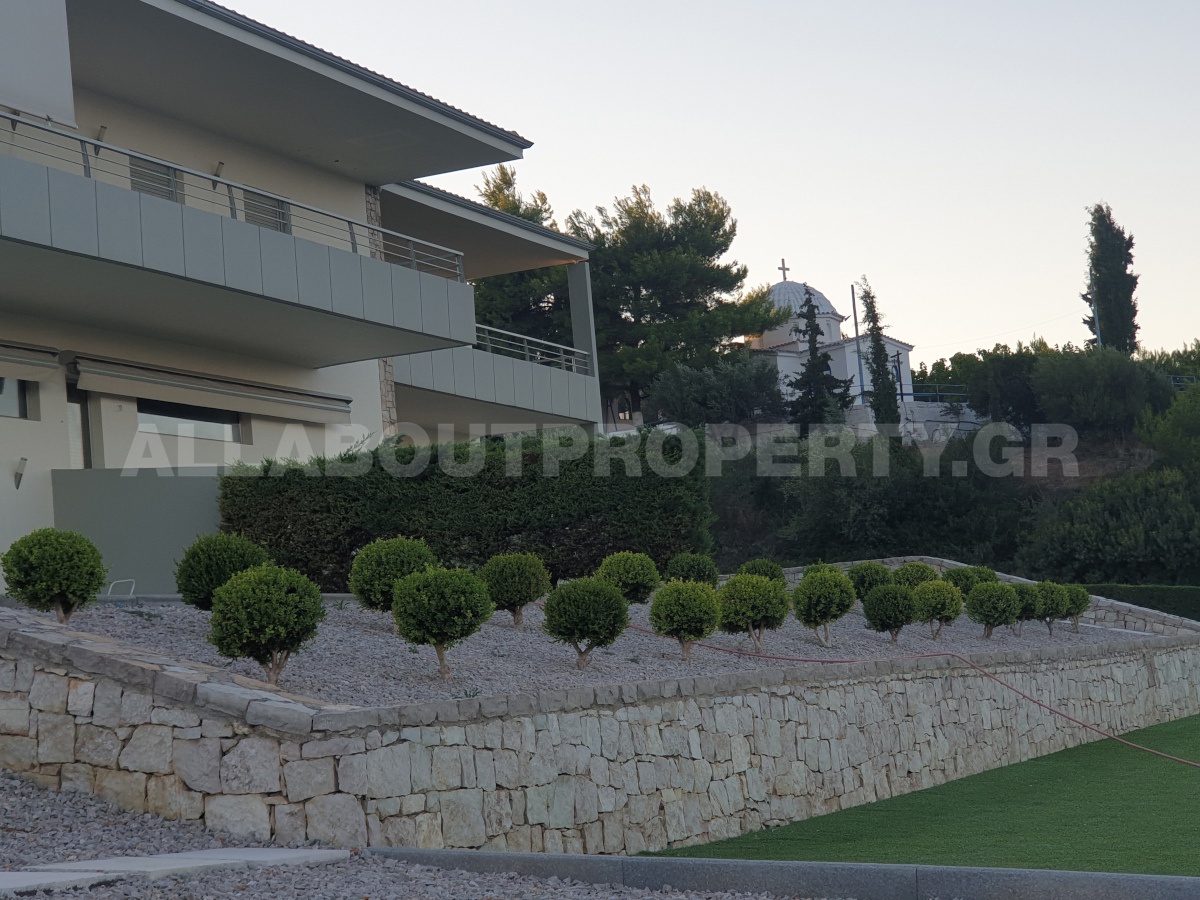 Gallery image 6