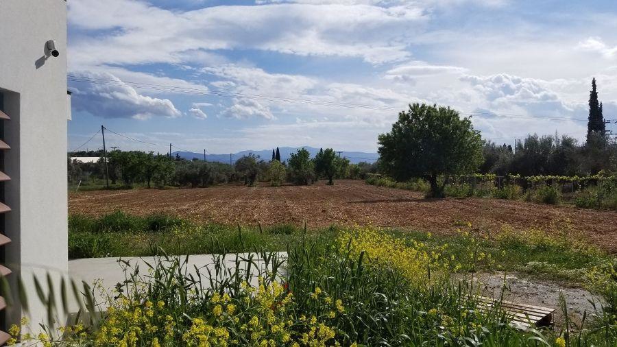 Gallery image 14