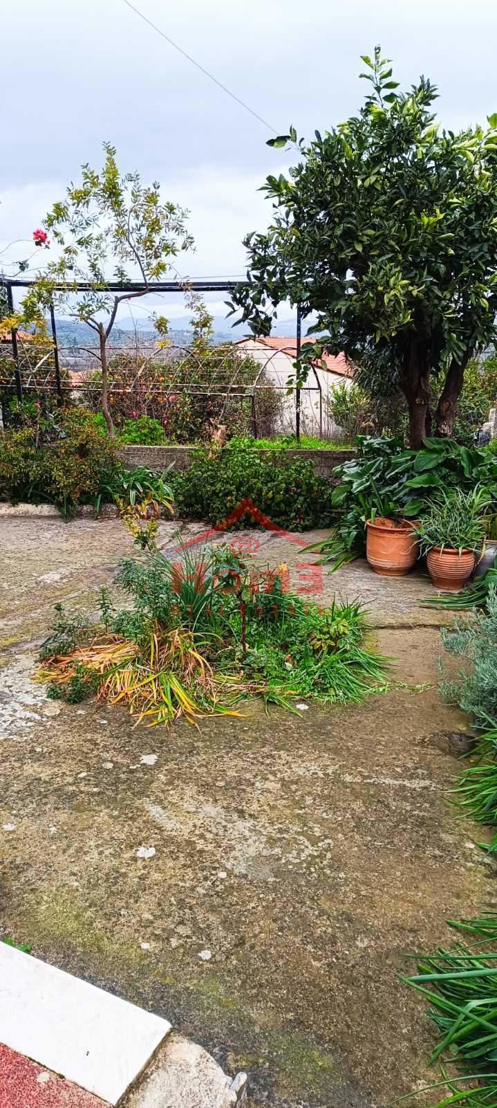 Gallery image 15