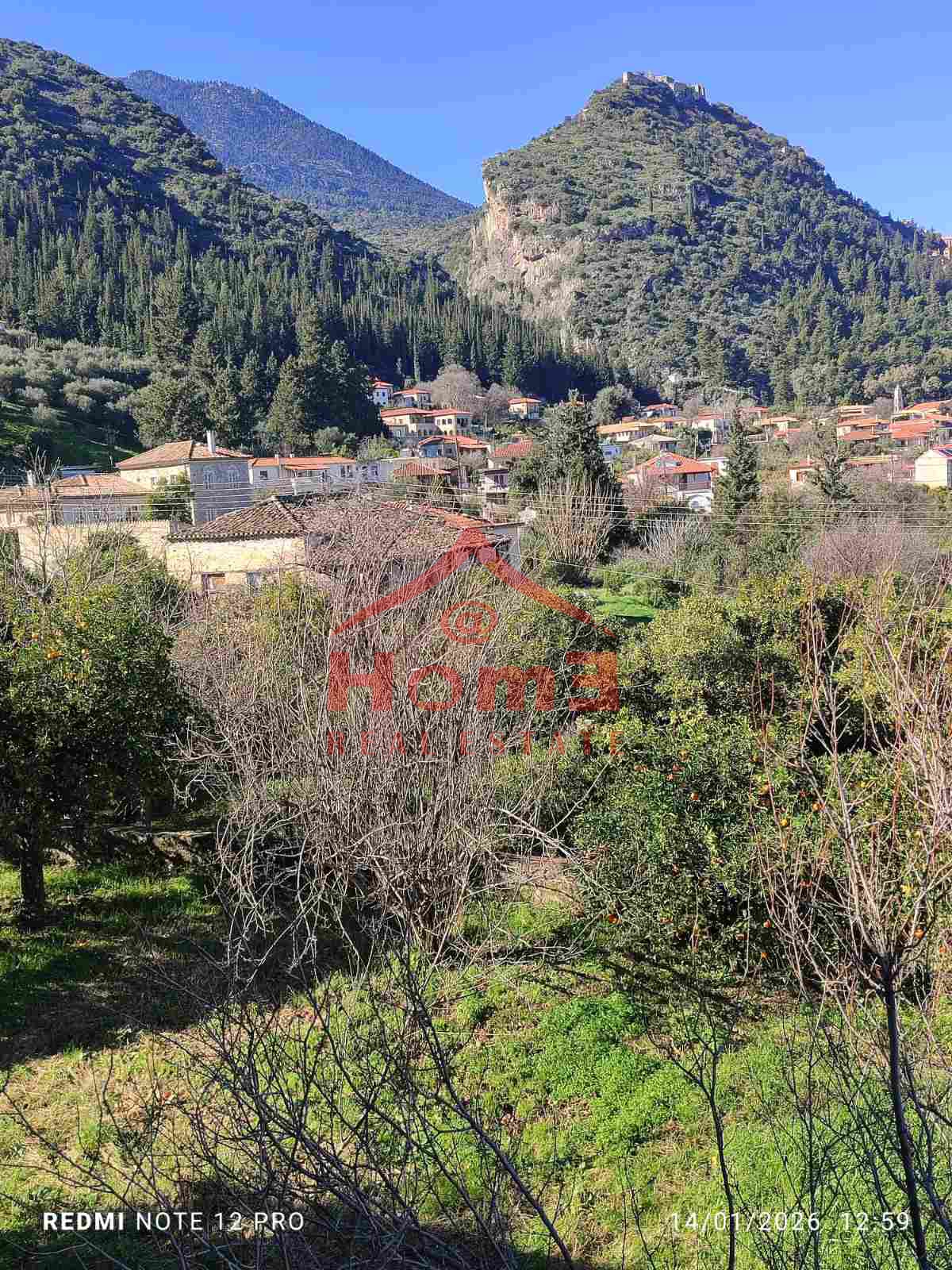 Gallery image 20