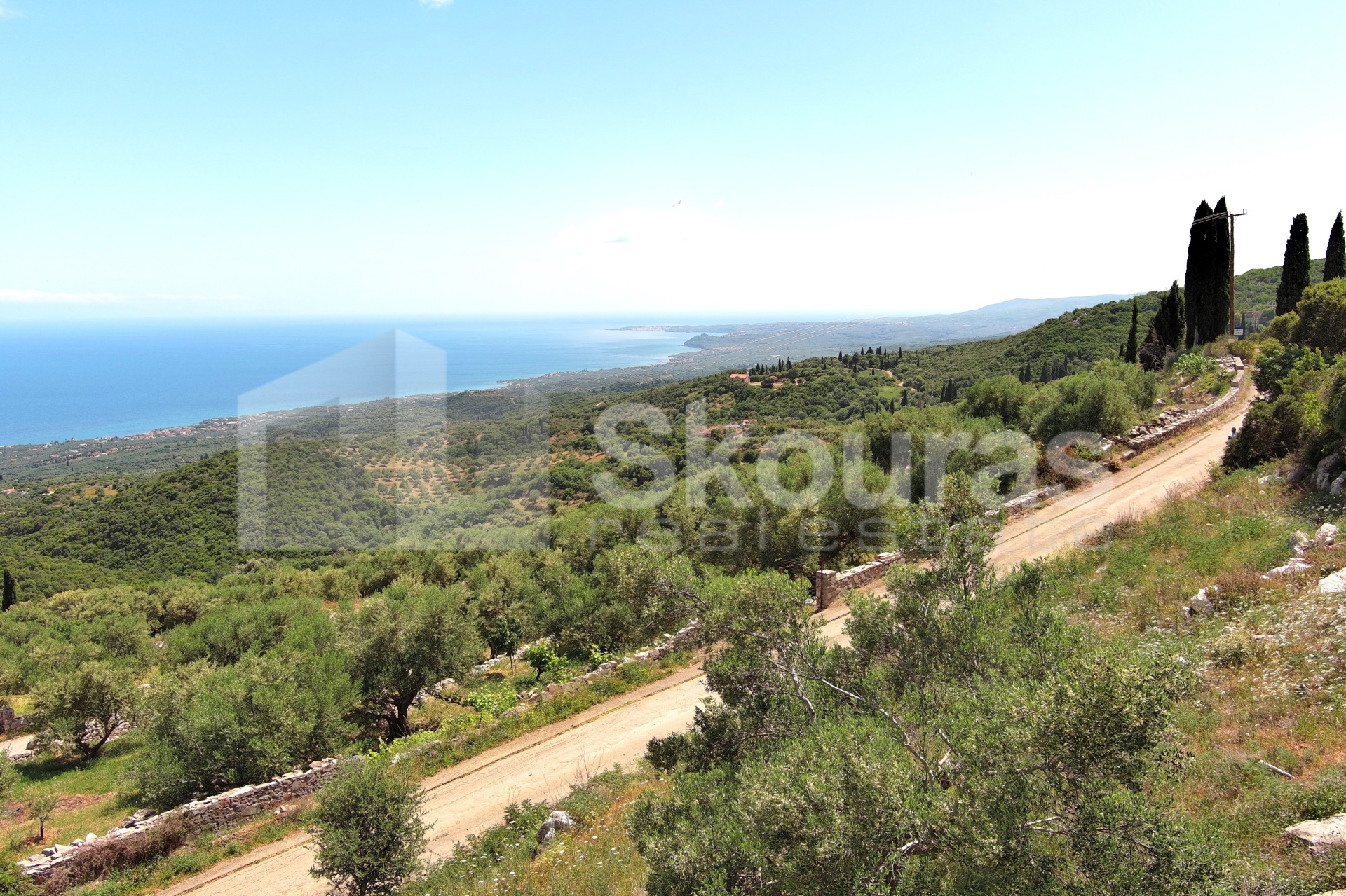Gallery image 12