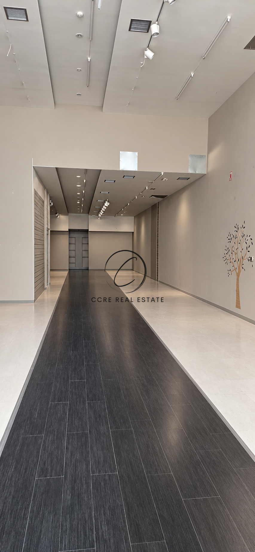 Gallery image 10