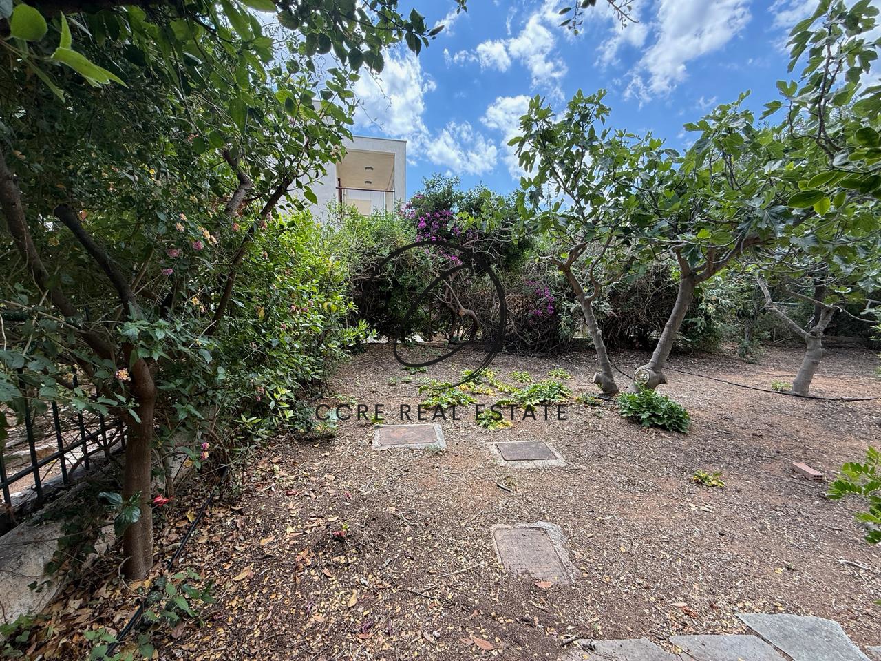 Gallery image 10