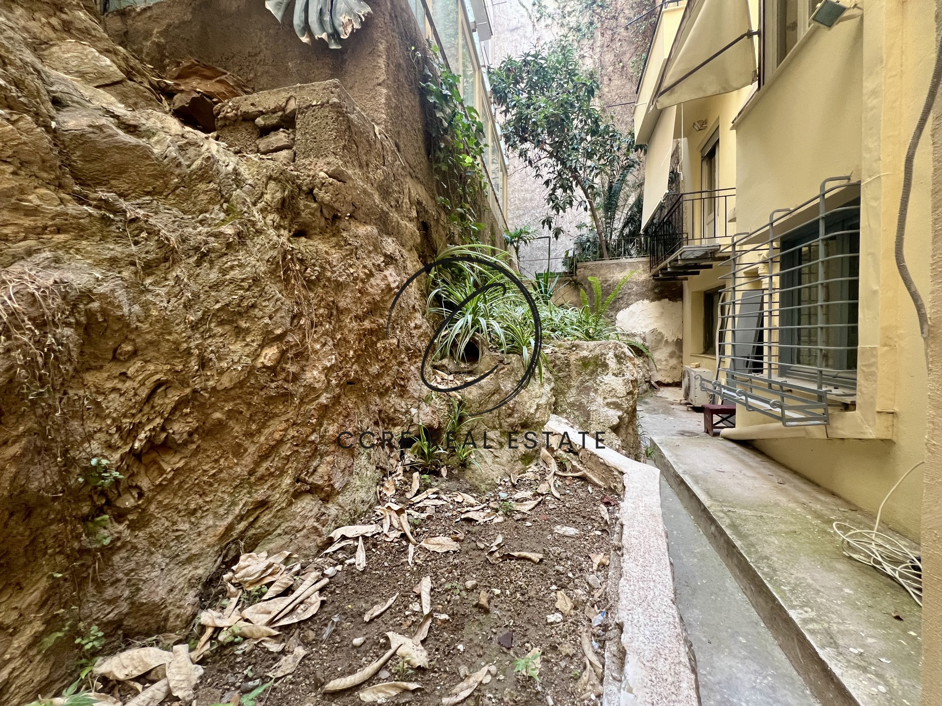 Gallery image 12