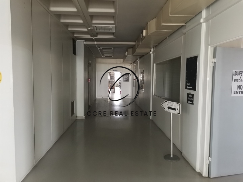 Gallery image 10