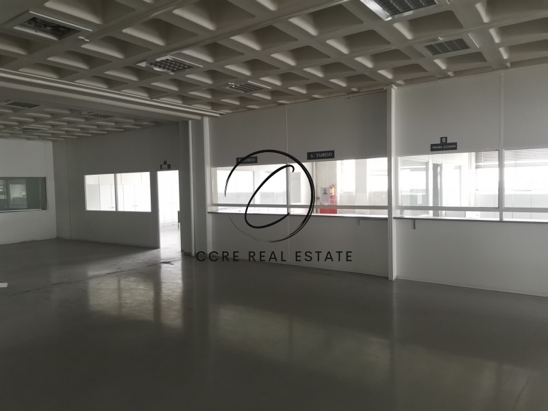 Gallery image 6