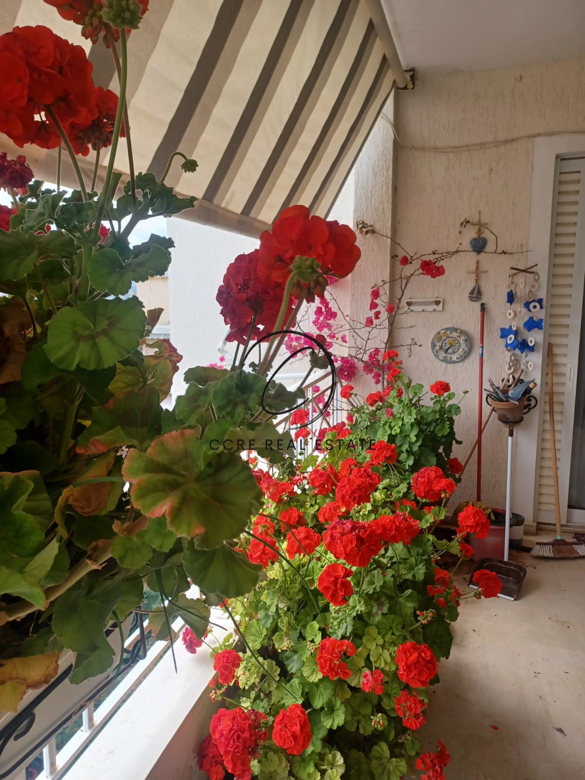Gallery image 18