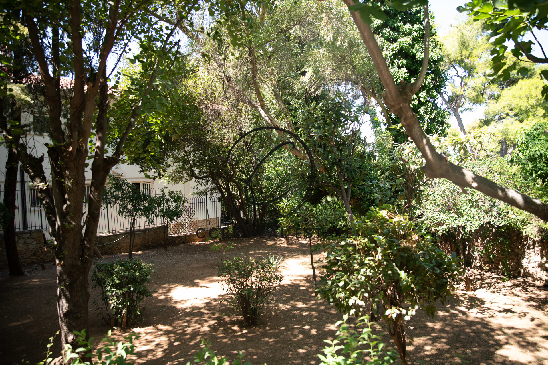 Gallery image 30