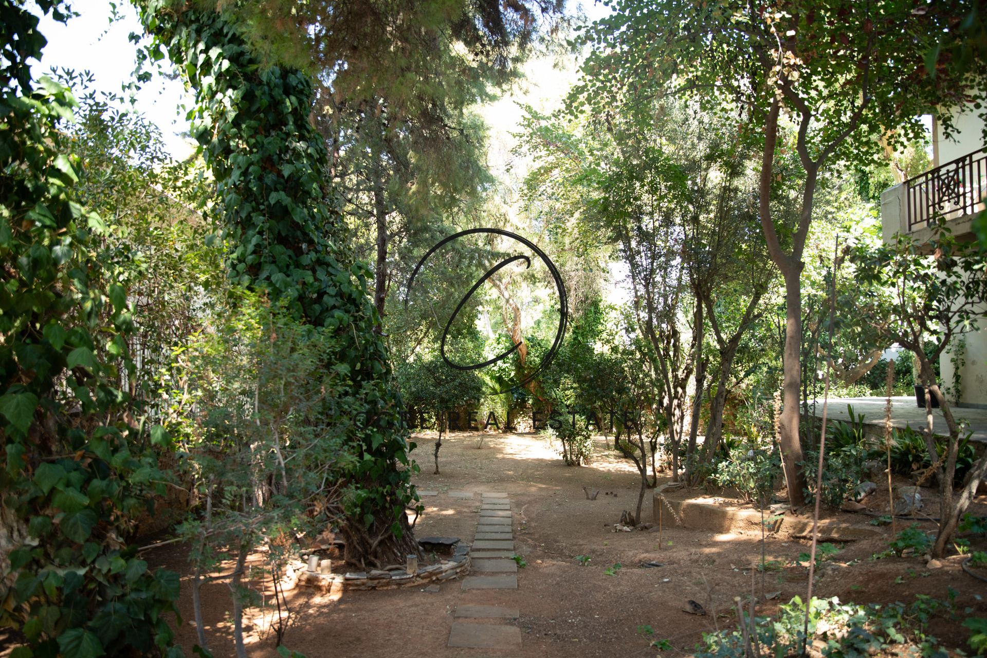 Gallery image 11