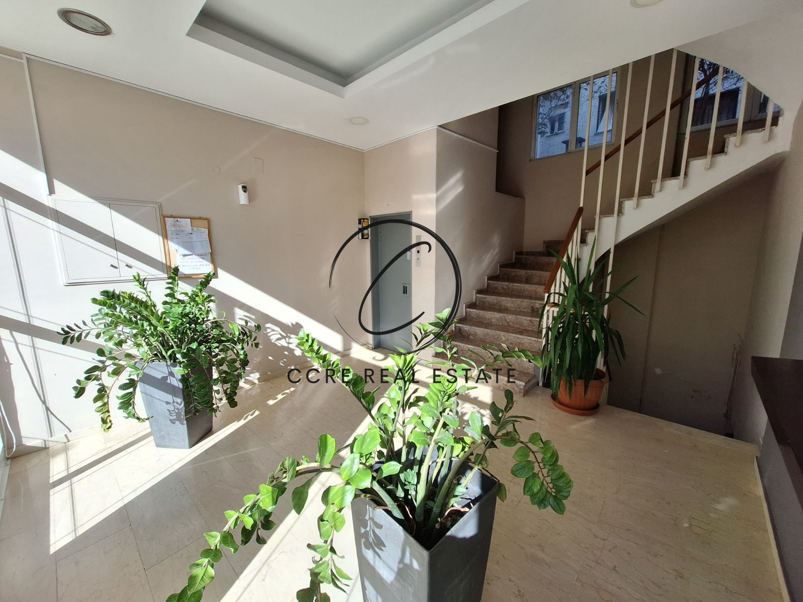 Gallery image 12