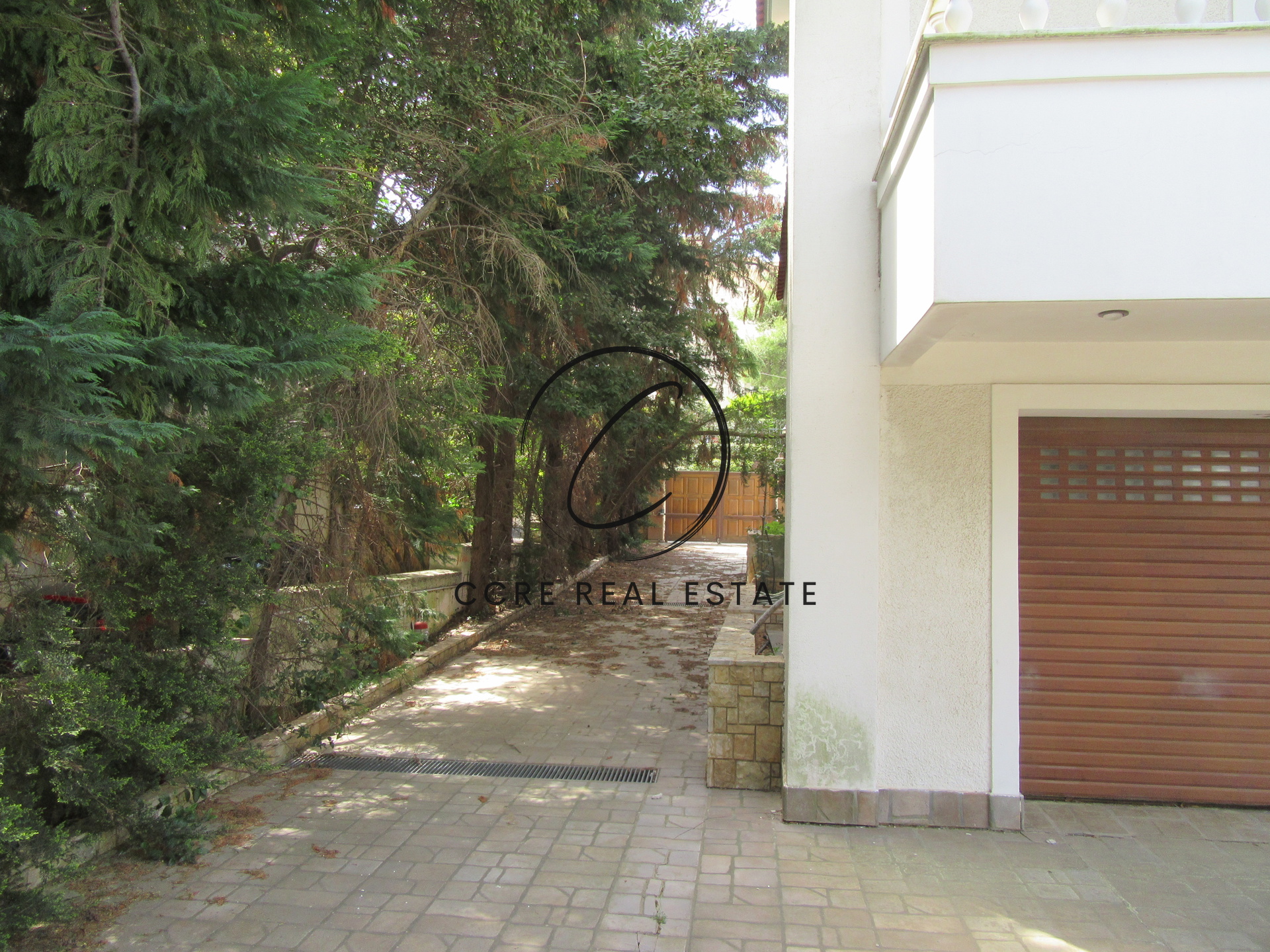 Gallery image 15