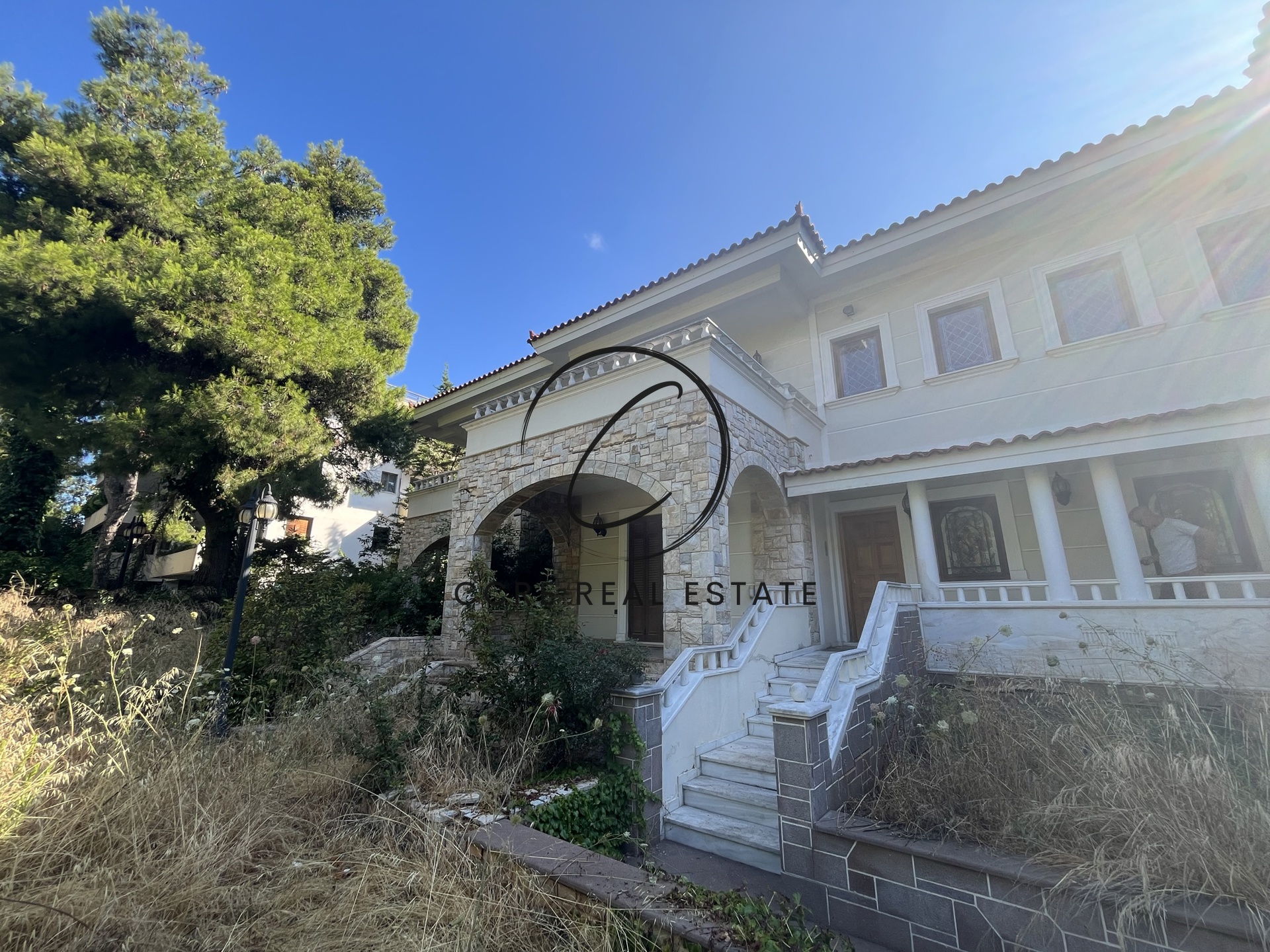 Gallery image 29