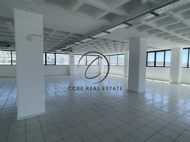 Gallery image 13