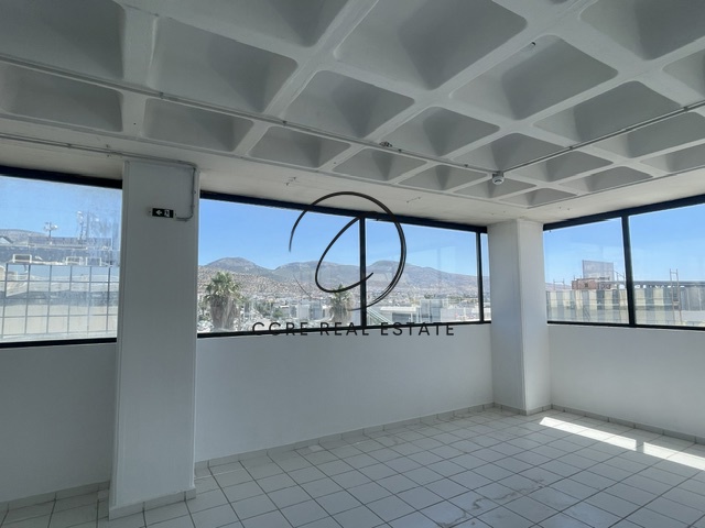Gallery image 16