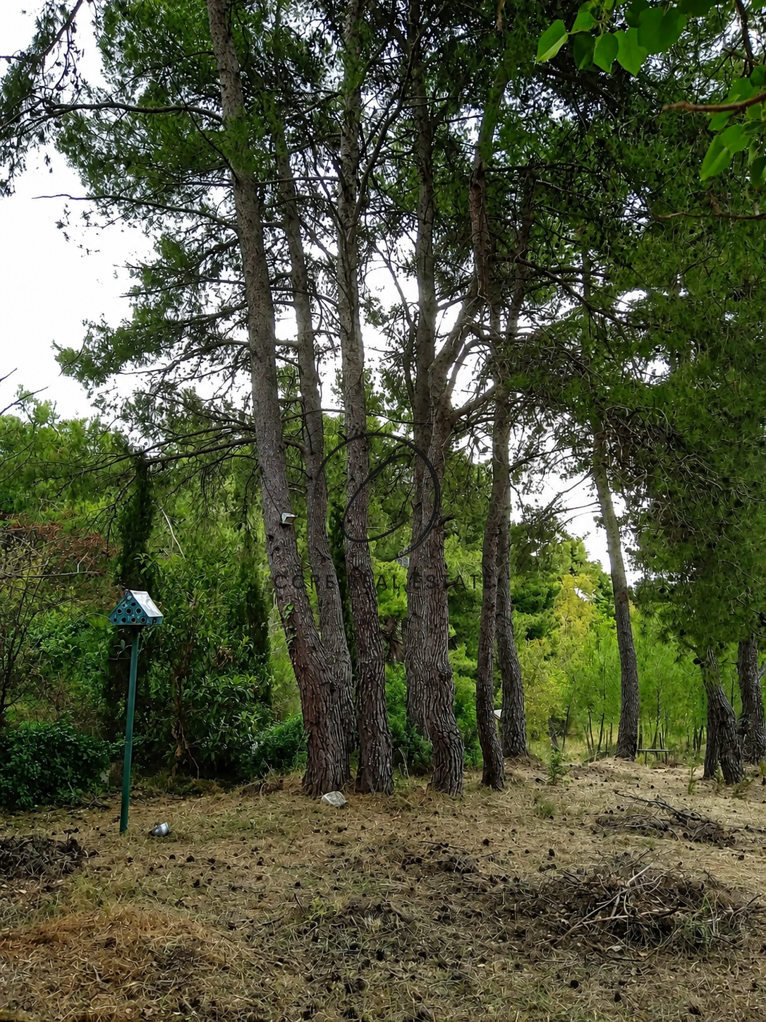 Gallery image 14