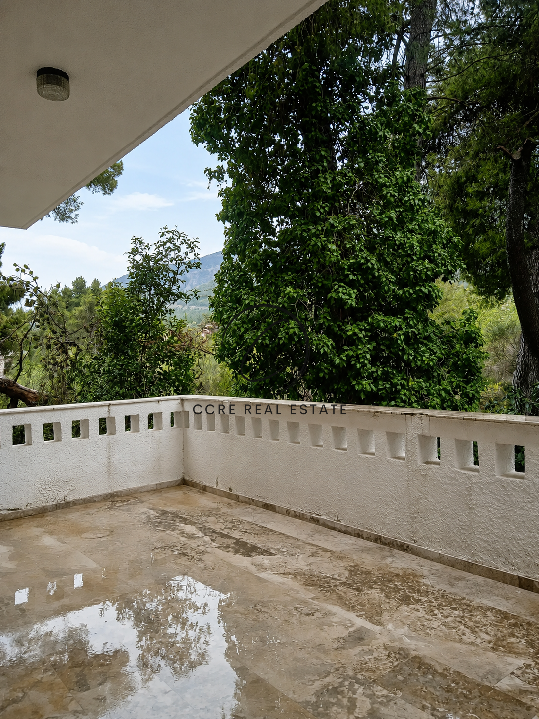 Gallery image 11