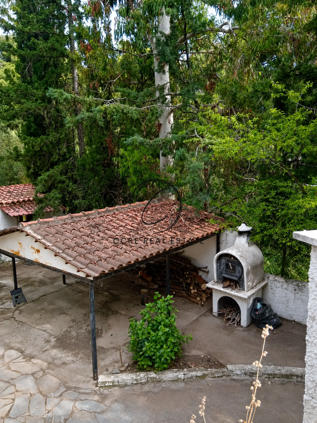Gallery image 12