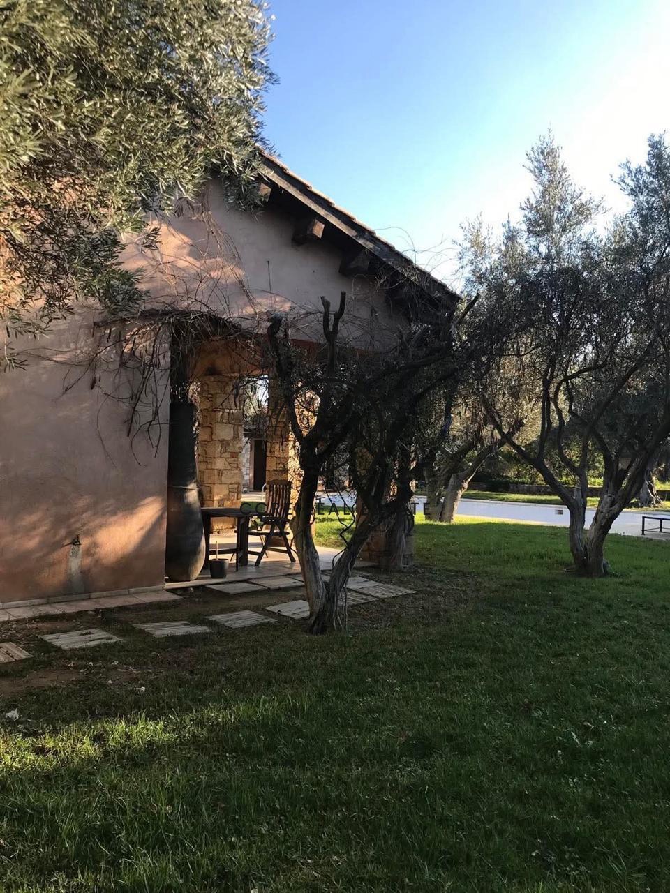 Gallery image 15