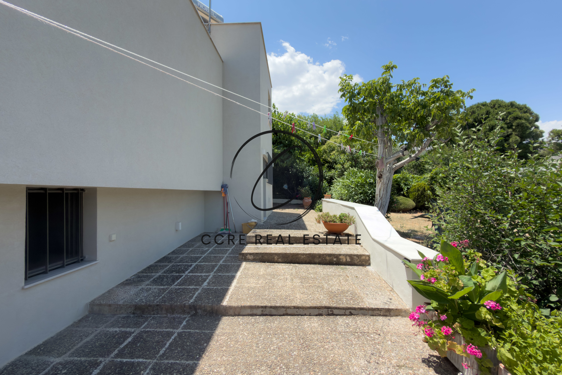 Gallery image 13