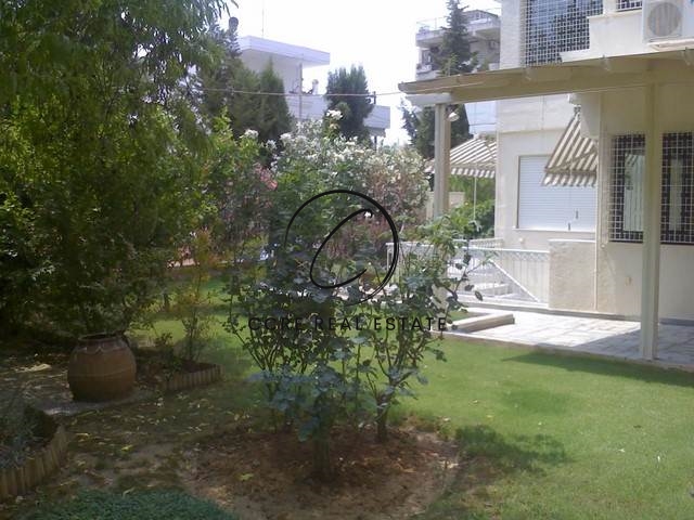 Gallery image 25